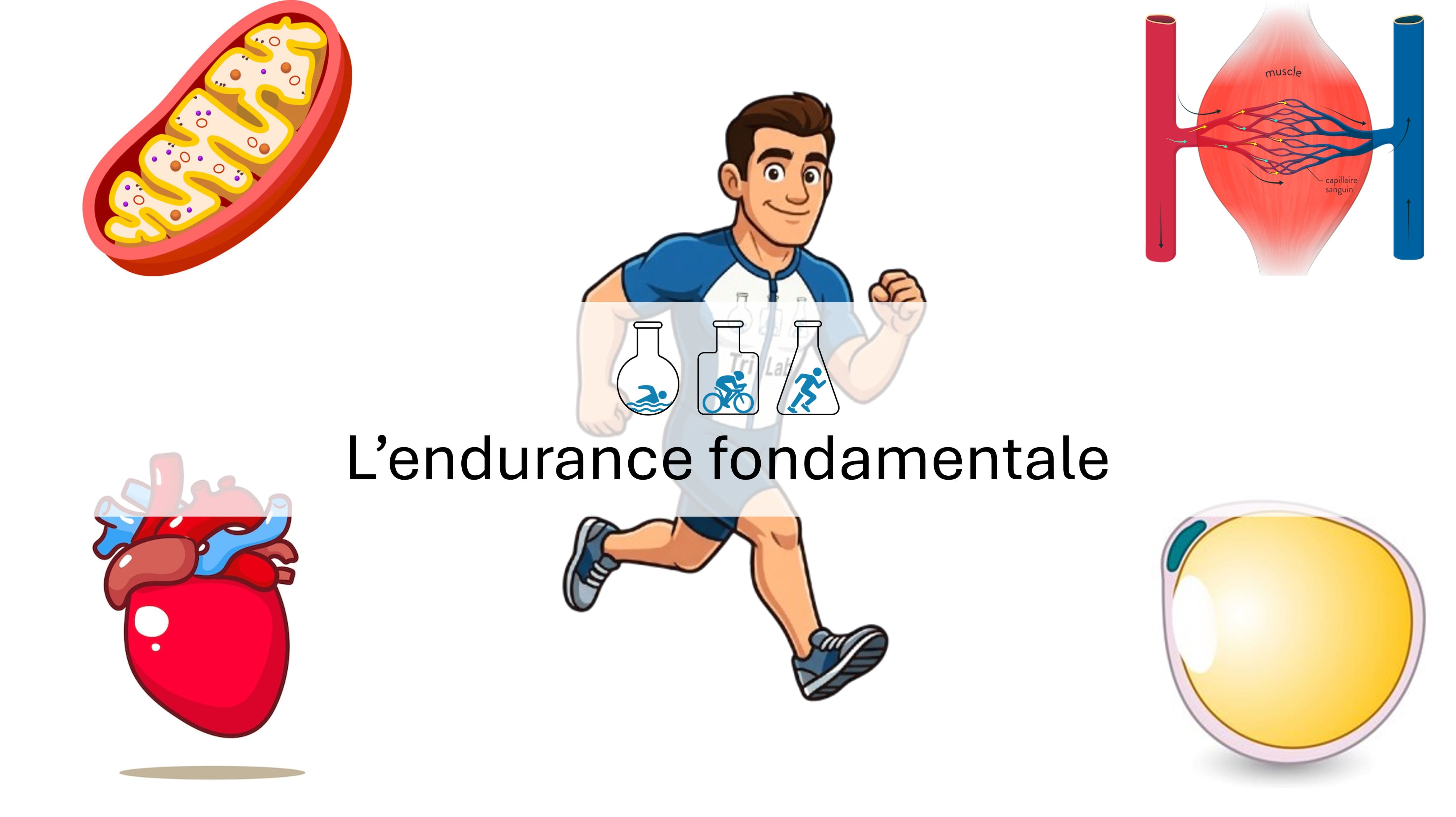 Article recommandé : L'endurance fondamentale en triathlon : tout ce qu'il faut savoir